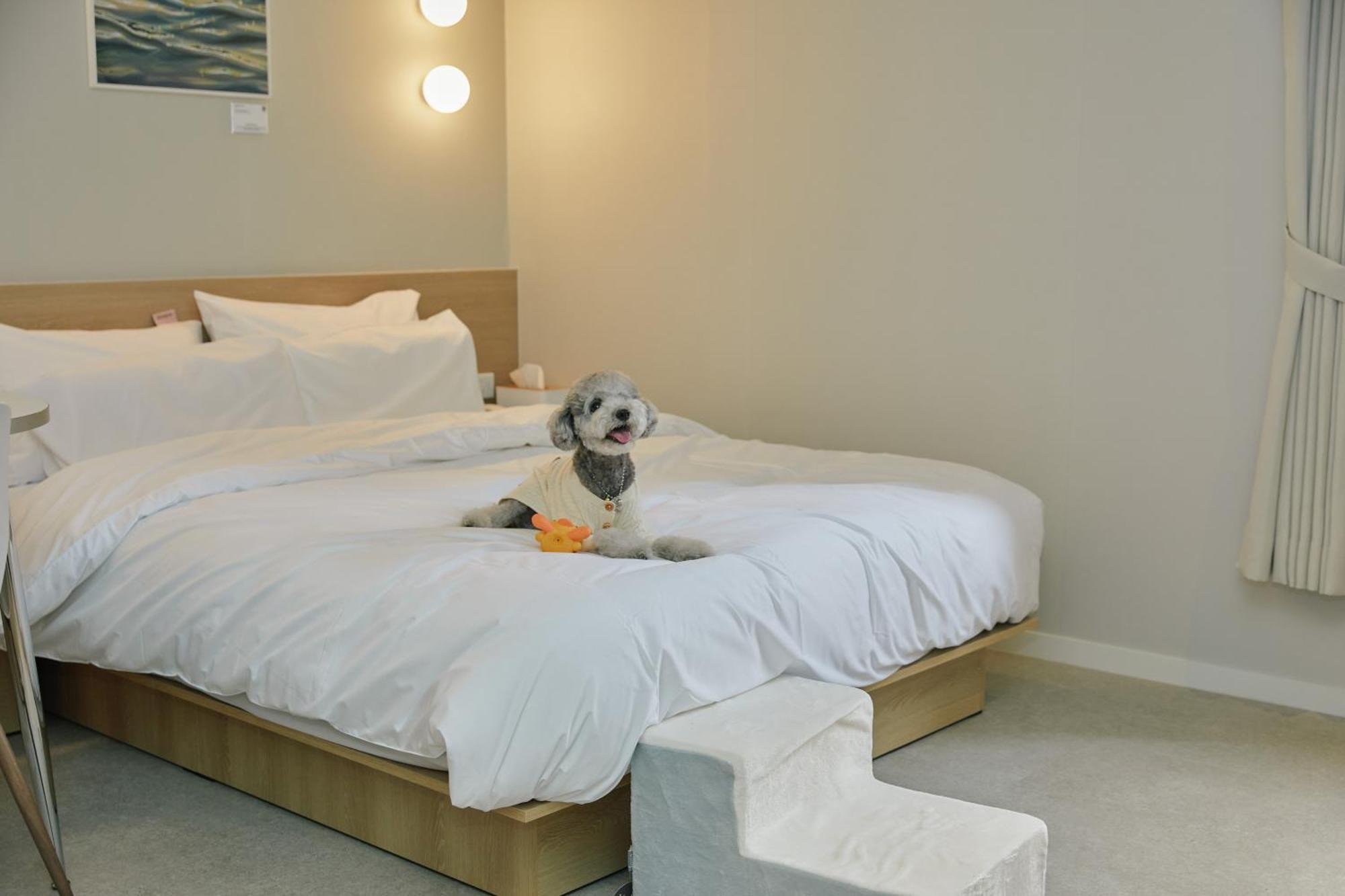 Aank Hotel Incheon Songdo Екстериор снимка