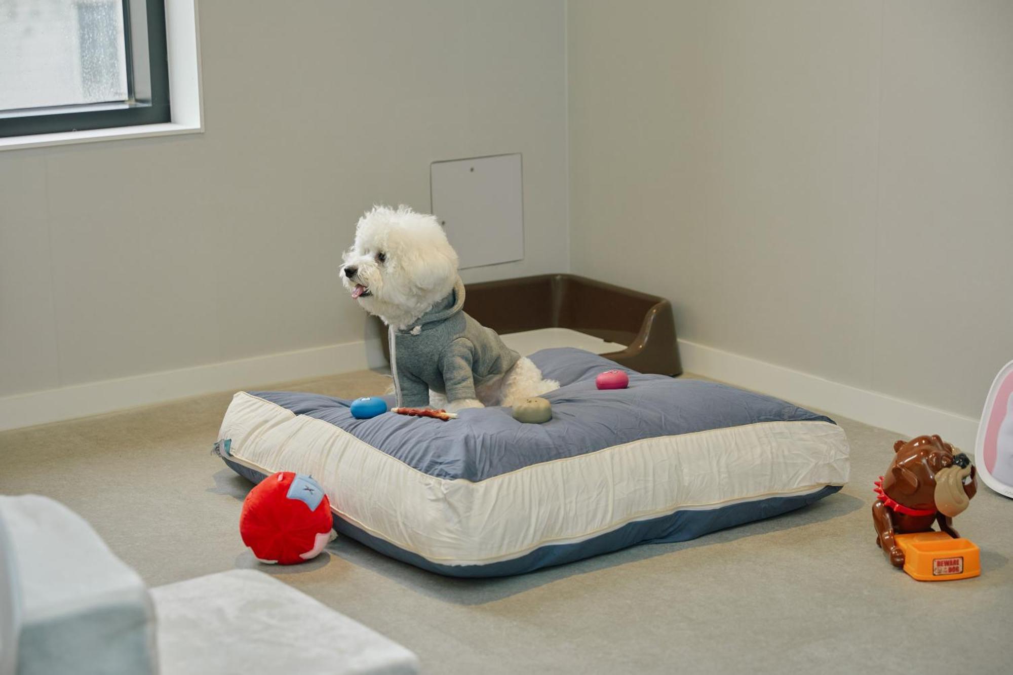 Aank Hotel Incheon Songdo Екстериор снимка